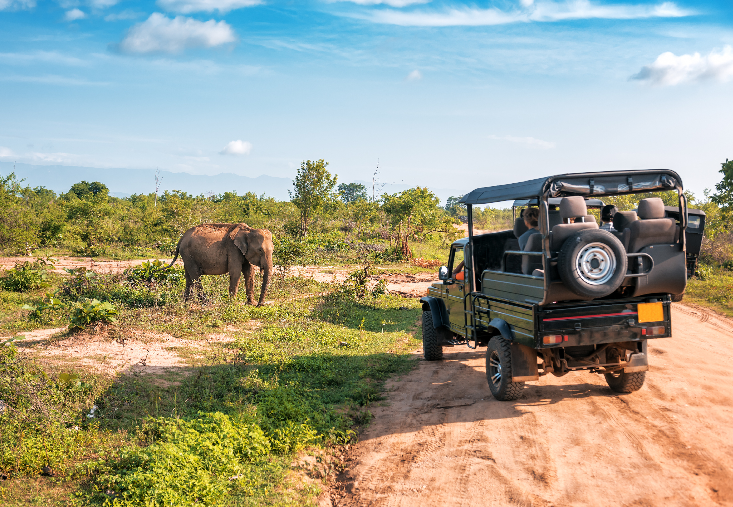 Trải nghiệm xe Jeep khi du lịch tại đây là điều bạn đừng nên bỏ qua