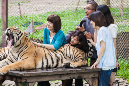 Safari World là một trong những điểm đến hàng đầu tại Bangkok