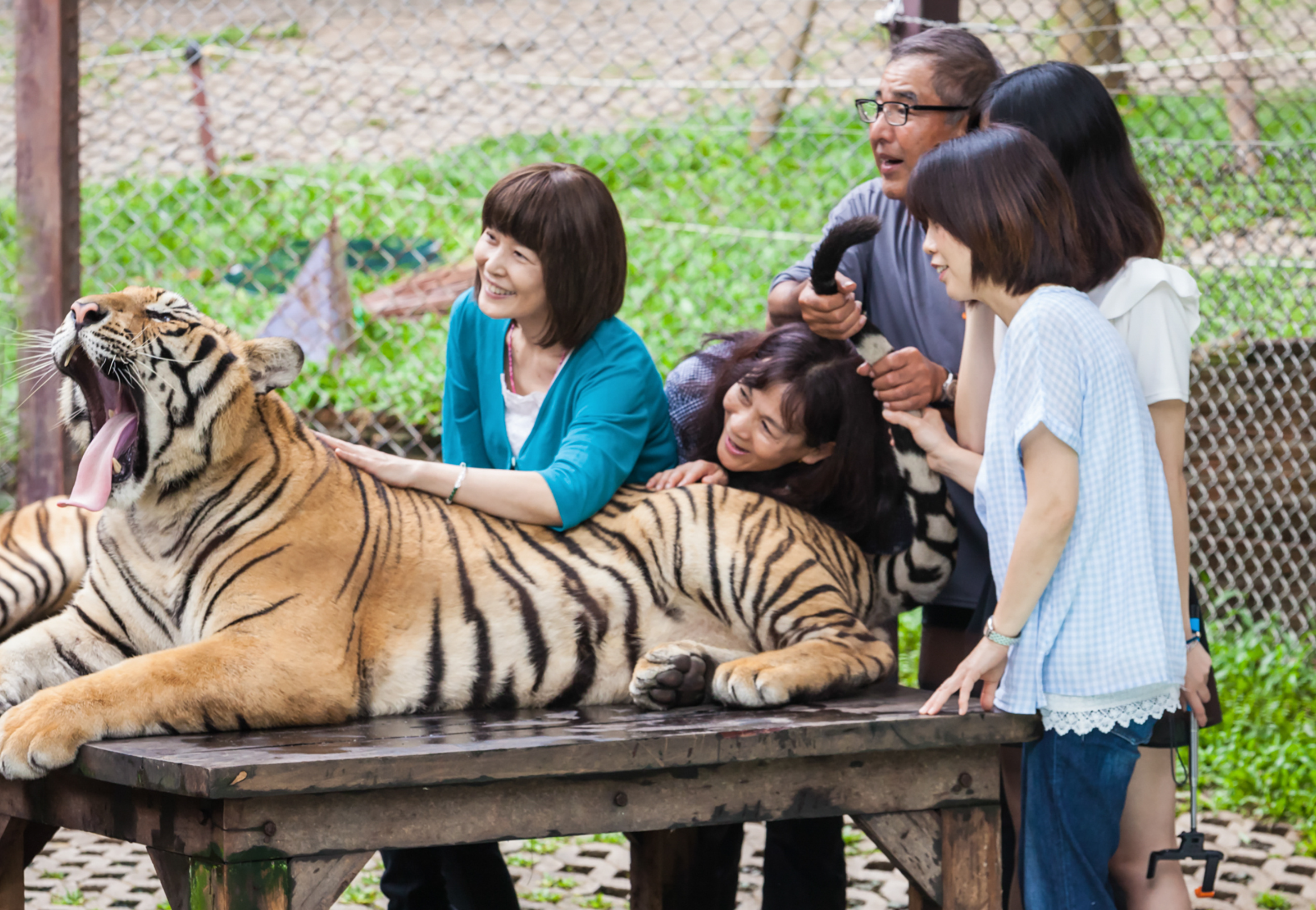 Safari World là một trong những điểm đến hàng đầu tại Bangkok