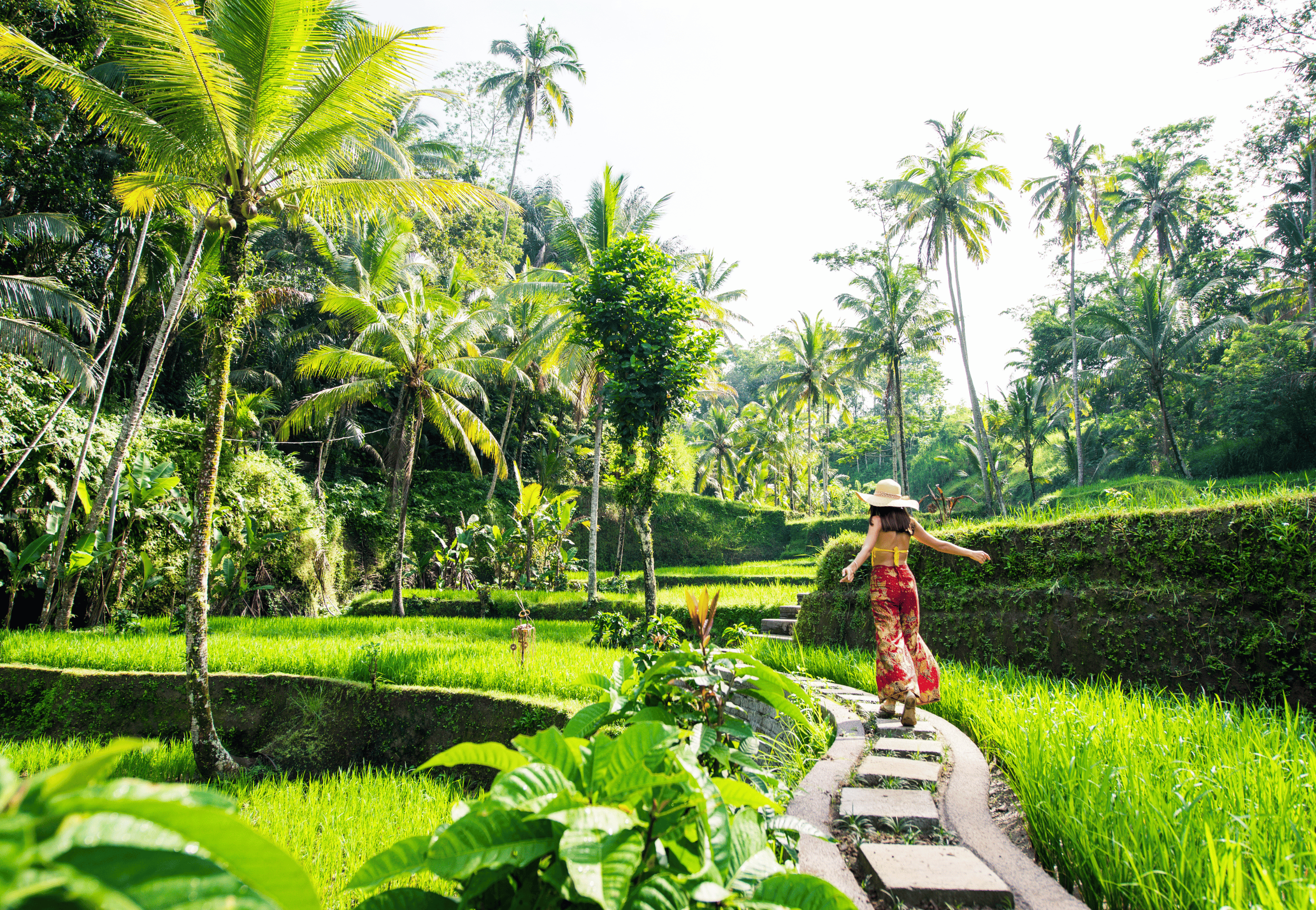 Ruộng bậc thang này là nơi cho ra hàng ngàn bức ảnh đẹp xỉu trên Instagram