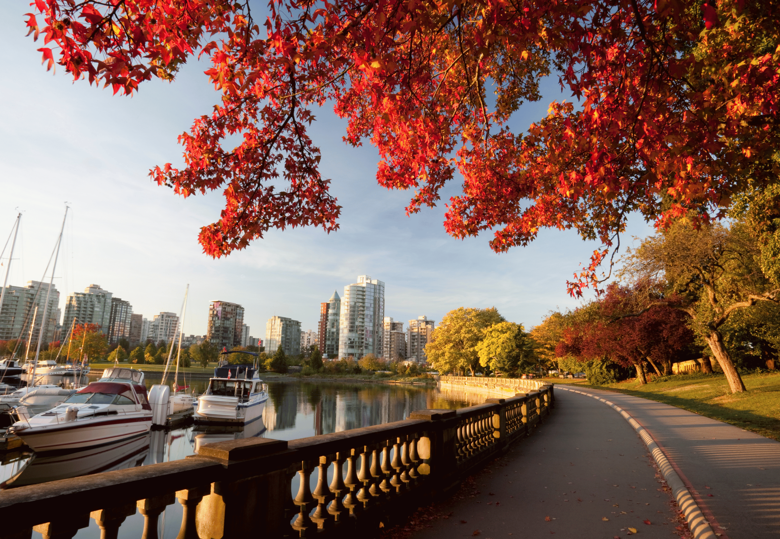 Bạn nên thử trải nghiệm một số nơi thú vị tại Vancouver