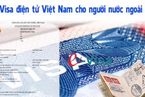 Xin visa cho người nước ngoài vào Việt Nam online đang là lựa chọn phổ biến trong năm nhờ thủ tục đơn giản
