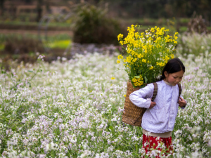 The Ha Giang Loop offers spectacular natural scenery, peaceful villages, and some of the most scenic mountain roads in Vietnam.
