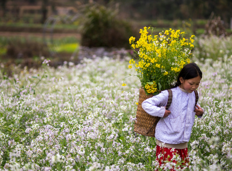 The Ha Giang Loop offers spectacular natural scenery, peaceful villages, and some of the most scenic mountain roads in Vietnam.