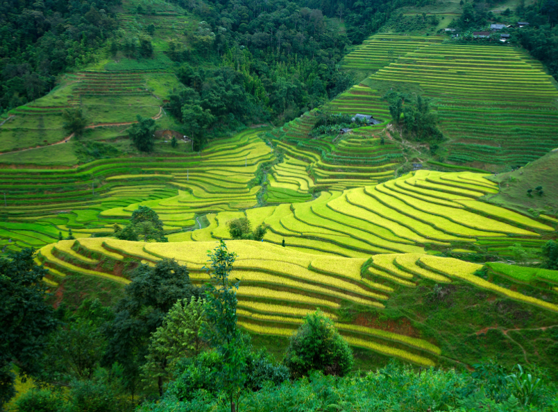 Ha Giang Loop is one of Vietnam's most breathtaking road trips, featuring dramatic mountain landscapes, winding passes, and authentic local culture.