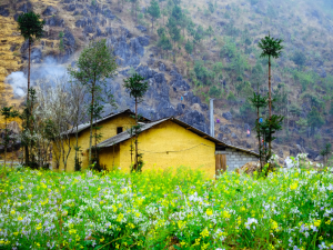 The Ha Giang Loop offers spectacular natural scenery, peaceful villages, and some of the most scenic mountain roads in Vietnam.