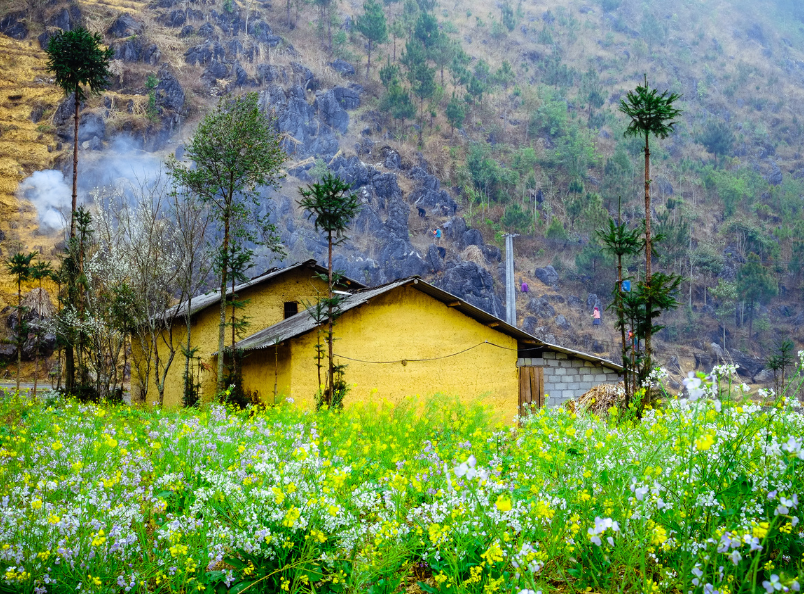 The Ha Giang Loop offers spectacular natural scenery, peaceful villages, and some of the most scenic mountain roads in Vietnam.