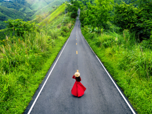 Discover the beauty of the Ha Giang Loop with its stunning limestone mountains, scenic valleys, and unforgettable adventures in northern Vietnam.
