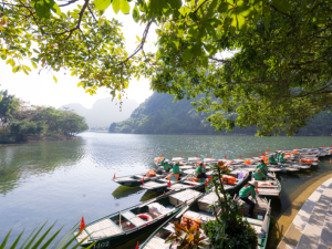 Discover the natural beauty of Tam Coc Trang An, where winding waterways, towering karst landscapes, and picturesque rice fields create unforgettable views.