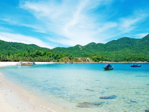 Experience the beauty of Cham Island on a snorkeling tour, where pristine beaches and vibrant underwater ecosystems create the perfect island escape.