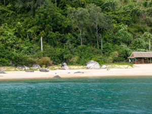 Cham Island Snorkeling Tour lets you explore stunning coral gardens, tropical fish, and the breathtaking natural beauty of one of Vietnam's top marine destinations.