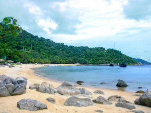 Cham Island Snorkeling Tour offers an unforgettable adventure with crystal-clear waters, colorful coral reefs, and diverse marine life off the coast of Hoi An.
