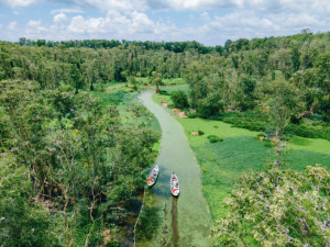 Mekong Delta Tour from Saigon 2 Day offers an unforgettable journey through peaceful waterways, vibrant floating markets, tropical orchards, and the authentic culture of southern Vietnam.