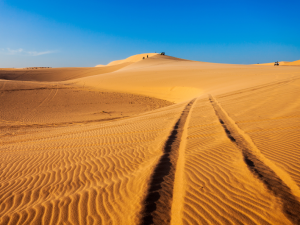 Mui Ne is a famous beach destination known for its golden sand dunes, crystal-clear waters, and exciting outdoor activities along Vietnam's stunning coastline.