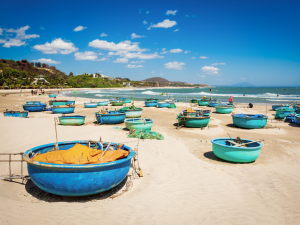 Discover the charm of Phan Thiet with its stunning coastline, vibrant fishing villages, and year-round sunshine, perfect for a memorable beach getaway.