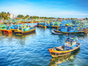 Phan Thiet offers breathtaking beaches, unique natural attractions, and rich local culture, making it one of Vietnam's most popular coastal destinations.